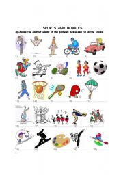 Sports and Hobbies