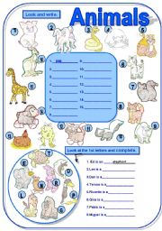 English Worksheet: ANIMALS...