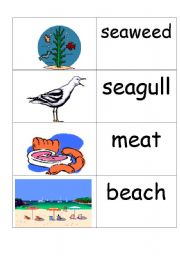 English Worksheet: word / picture card that contains ea as in leaf part 2