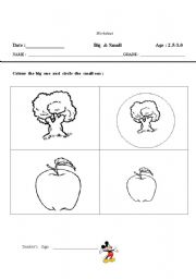 English Worksheet: Big & Small