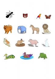 English worksheet: animal