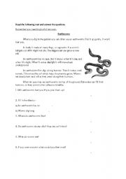 English worksheet: Comprehension