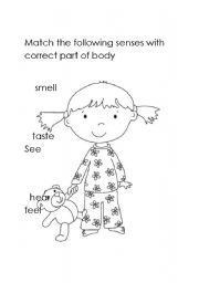 English worksheet: senses