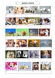 English Worksheet: resolutions pictures