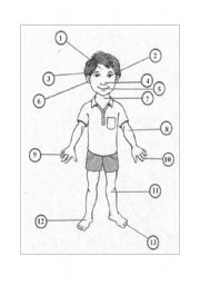 English worksheet: Parts of the body exercise