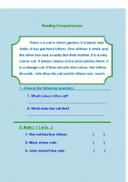 English Worksheet: reading comprehension