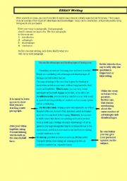 English Worksheet: Essay writing