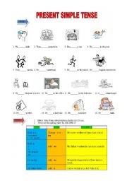 English worksheet: Present Simple exercises