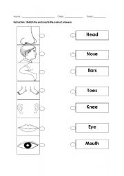 English Worksheet: parts of body