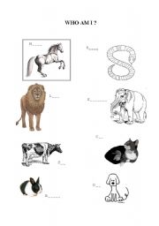 English worksheet: Animals worksheet