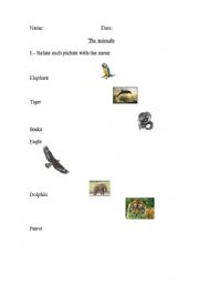 English worksheet: THE ANIMALS