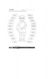 English worksheet: body parts