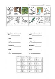 English worksheet: Nature