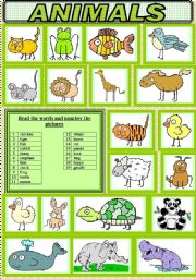 English Worksheet: ANIMALS VOCABULARY