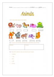 English worksheet: Animals worksheet