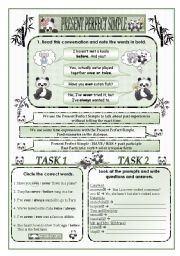 English Worksheet: Present perfect tense