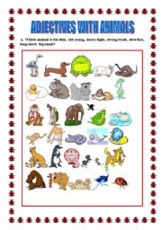 English Worksheet: Adjectives with animals