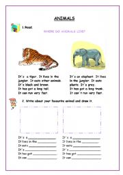 English worksheet: animals