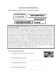 English Worksheet: Reading Comprehension