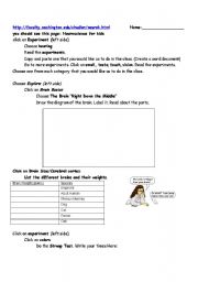 English worksheet: biology study of the brain webquest