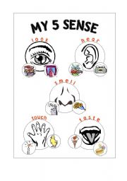 English Worksheet: My 5 Sense