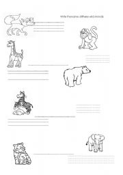 English Worksheet: Name the wild Animals