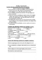 English Worksheet: level test for pilots