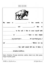 English worksheet: Bison