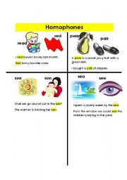 English Worksheet: Homophones (2-2)