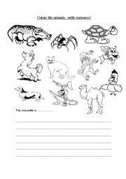 English worksheet: Colour the animals and write sentences