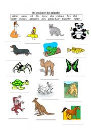 Do you know the animals?