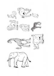 English Worksheet: Animals