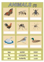English Worksheet: Animals (3) vocabulary for kids (cut and paste exercise)