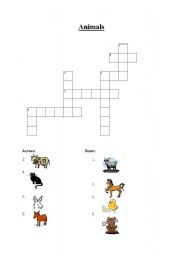 English worksheet: animals