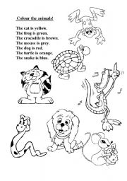 Colour the animals