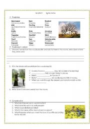 English Worksheet: BIG FISH by Tim Burton