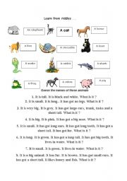 English worksheet: learn from riddles