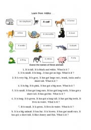 English Worksheet: learn from riddles