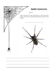 English Worksheet: Spider Synonyms