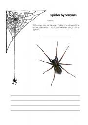 English worksheet: Spider Synonyms