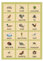 Animals Picture Dictionary (2)