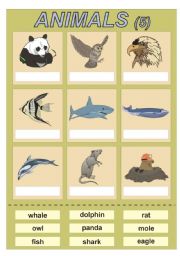Animals (5) vocabulary for kids (cut and paste exercise)
