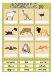 Animals (6) vocabulary for kids (cut and paste exercise)