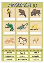 English Worksheet: Animals (7) vocabulary for kids (cut and paste exercise)