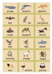 English Worksheet: Animals Picture Dictionary (3)