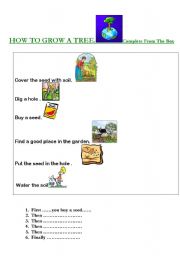English Worksheet: How to grow a tree / plant 