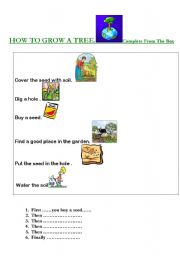 English worksheet: How to grow a tree / plant 