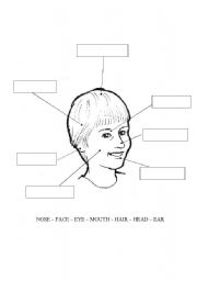 English worksheet: face