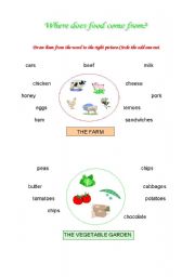 English Worksheet: Where does food come from?