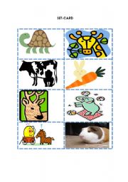 English worksheet: Talking about animals/Wh-questions
